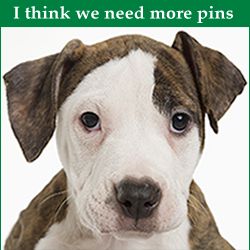 Hmm ...Need Pins? Better call Pin Finder